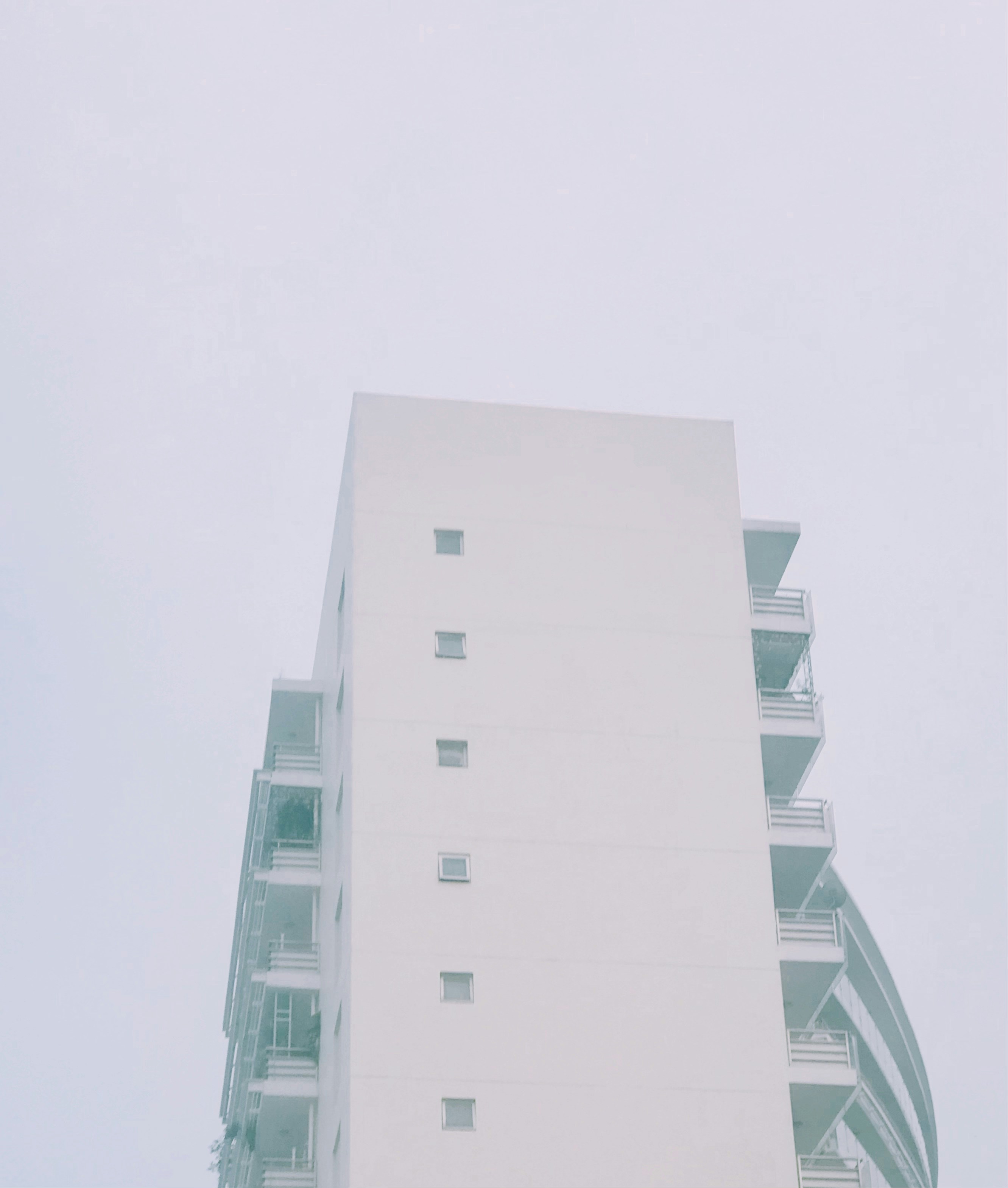 Photo by phuonguyen_x_x