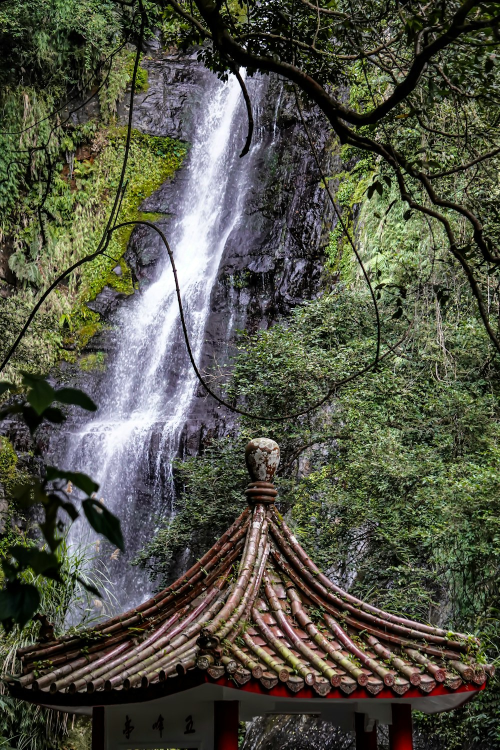 brown wooden tower in the middle of the forest