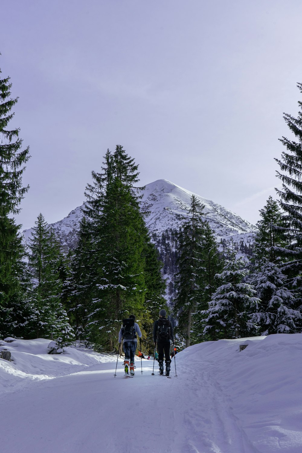 Menschen, die tagsüber auf schneebedecktem Boden in der Nähe von Bäumen und schneebedeckten Bergen spazieren gehen