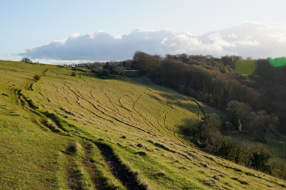 green grass field under white clouds during daytime