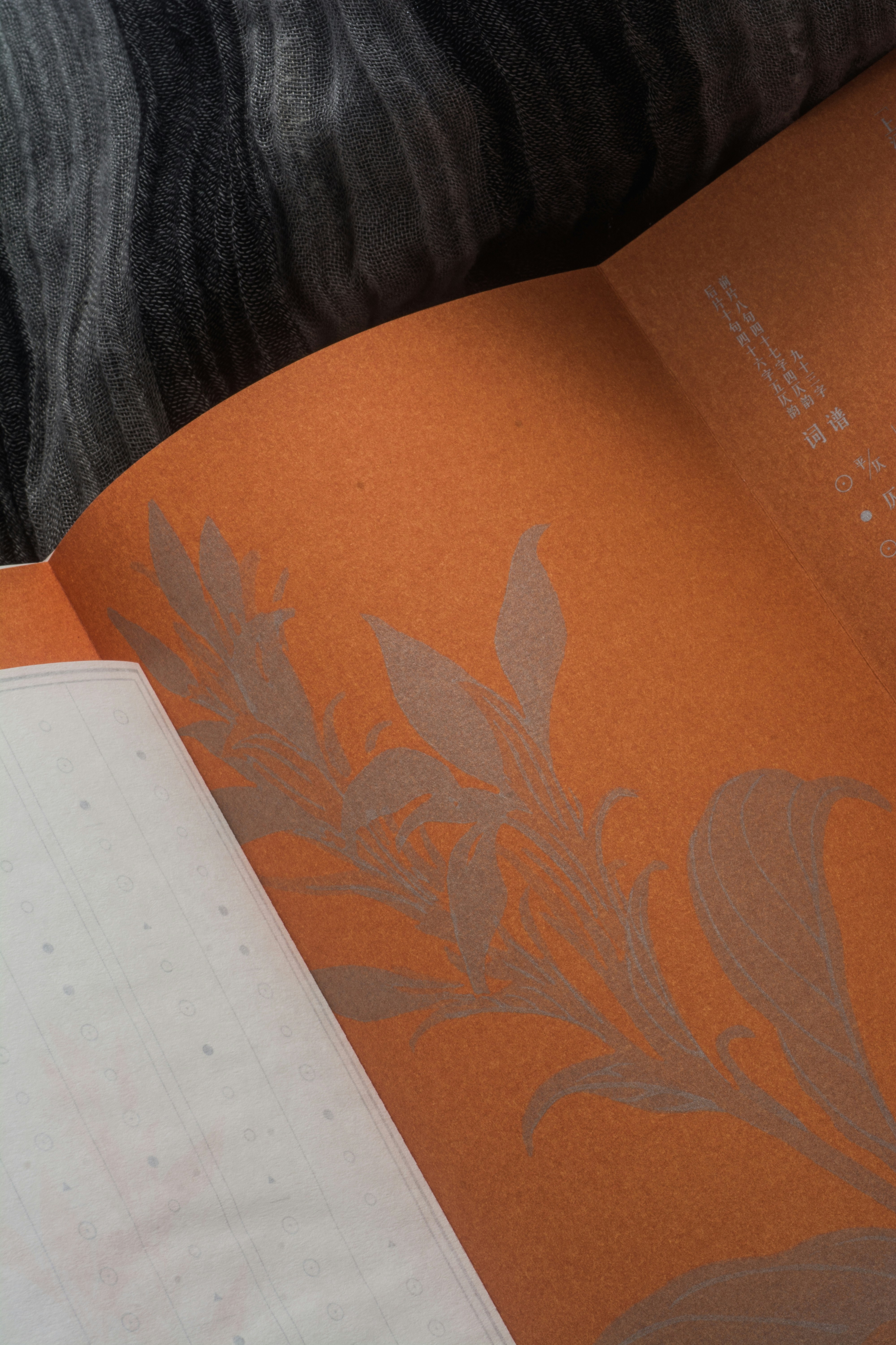 Photo by wenhui_qiying