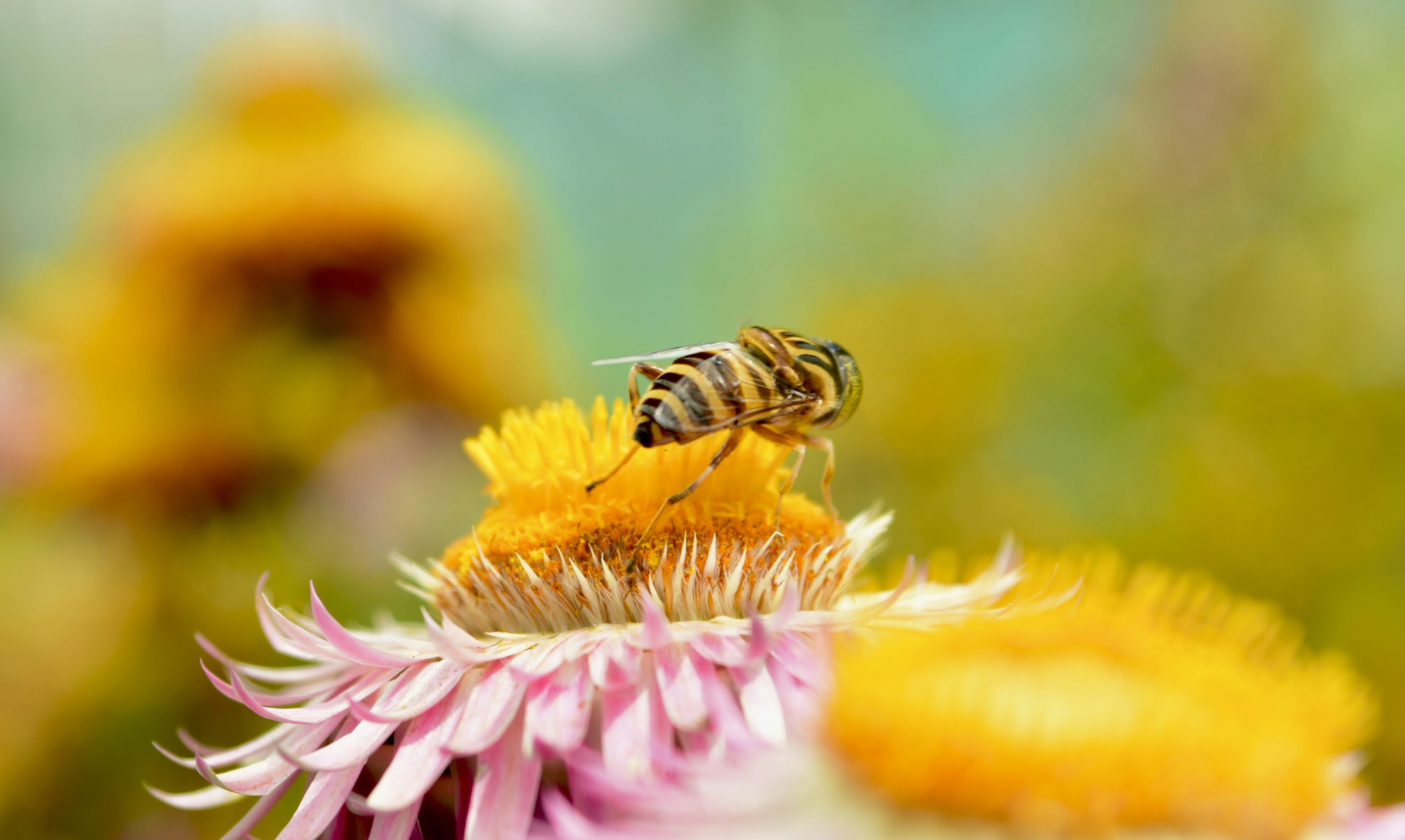 Photo by rrajputphotography