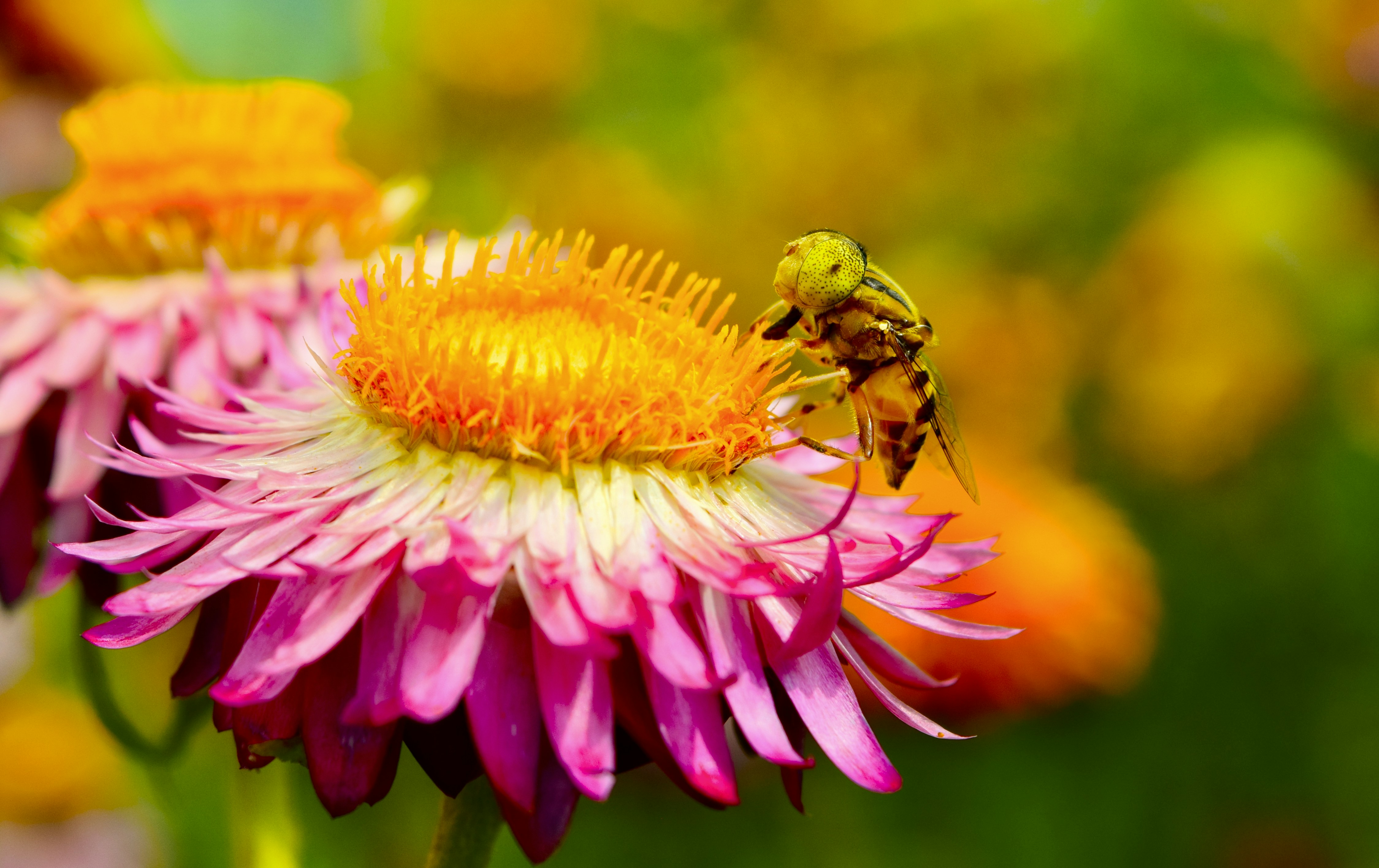 Photo by rrajputphotography