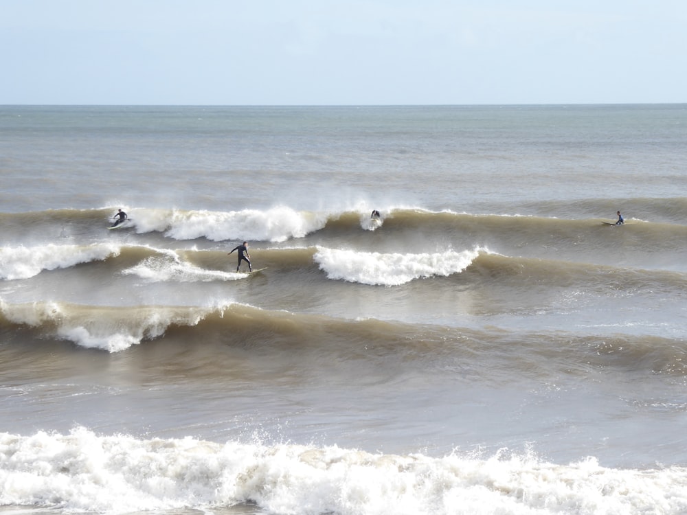 birds flying over the sea waves during daytime