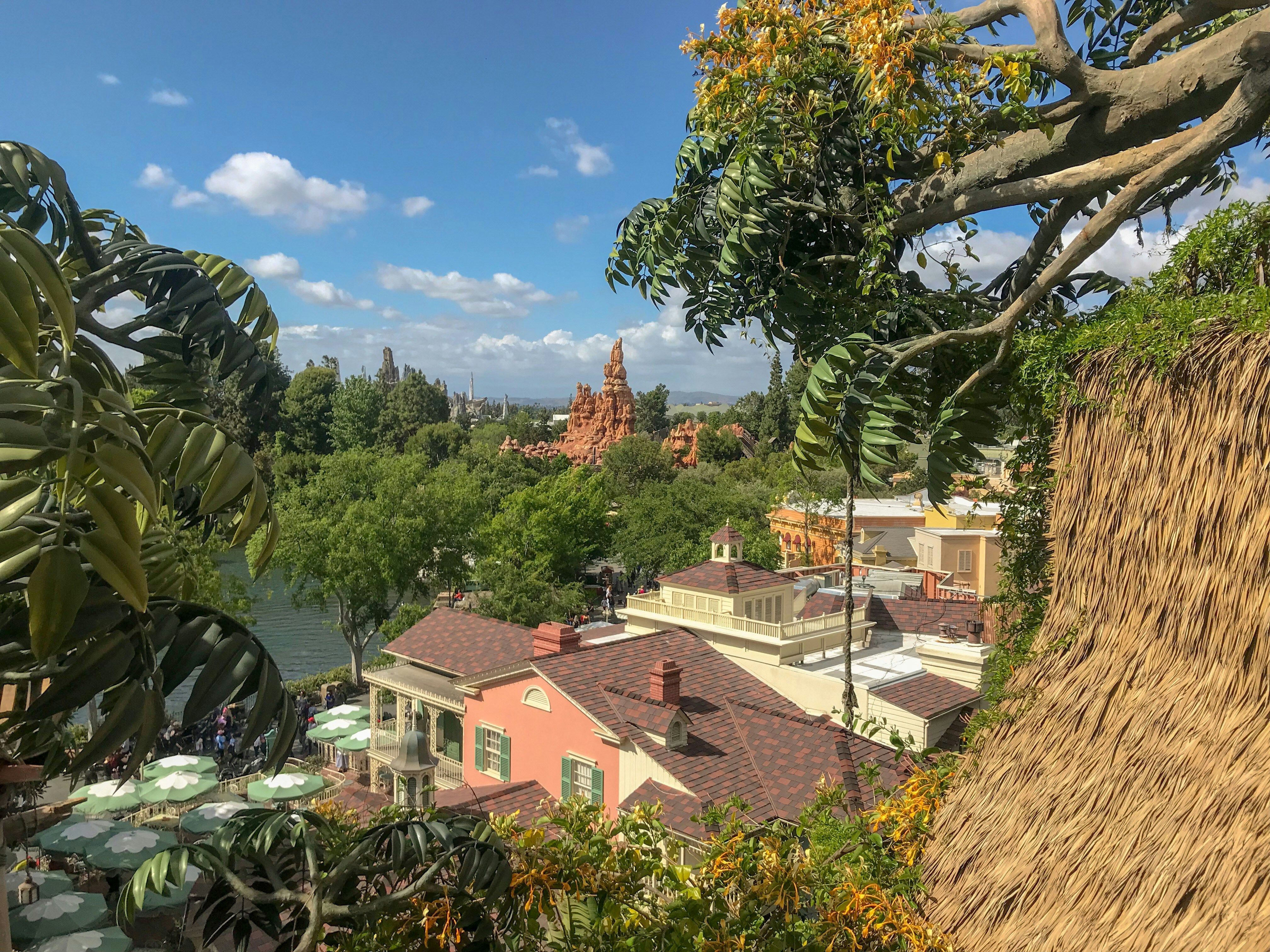 green tree near brown and white concrete house during daytime, 