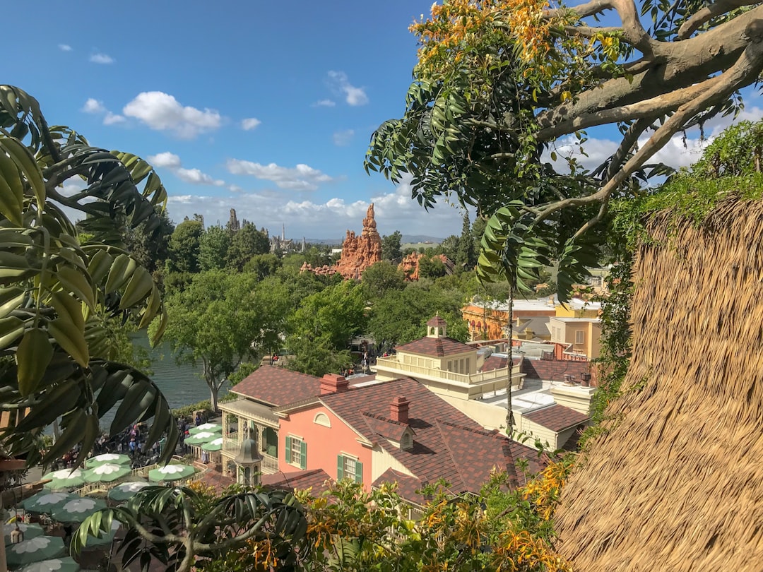 Disney Visa Cards A Deep Dive into Their Value for Infrequent Park… — Disney Visa Cards A Deep Dive