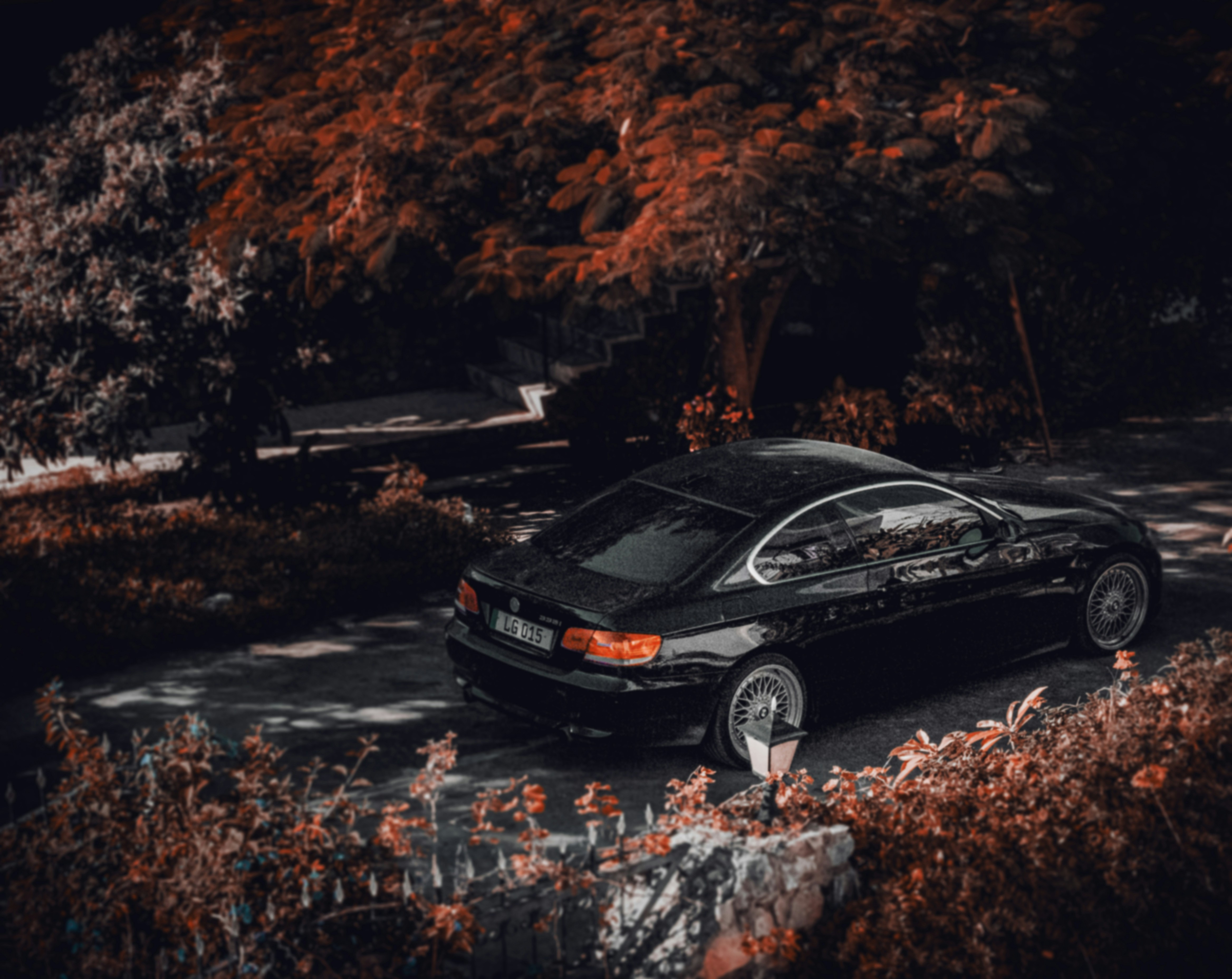 Photo by ozzzyphotos