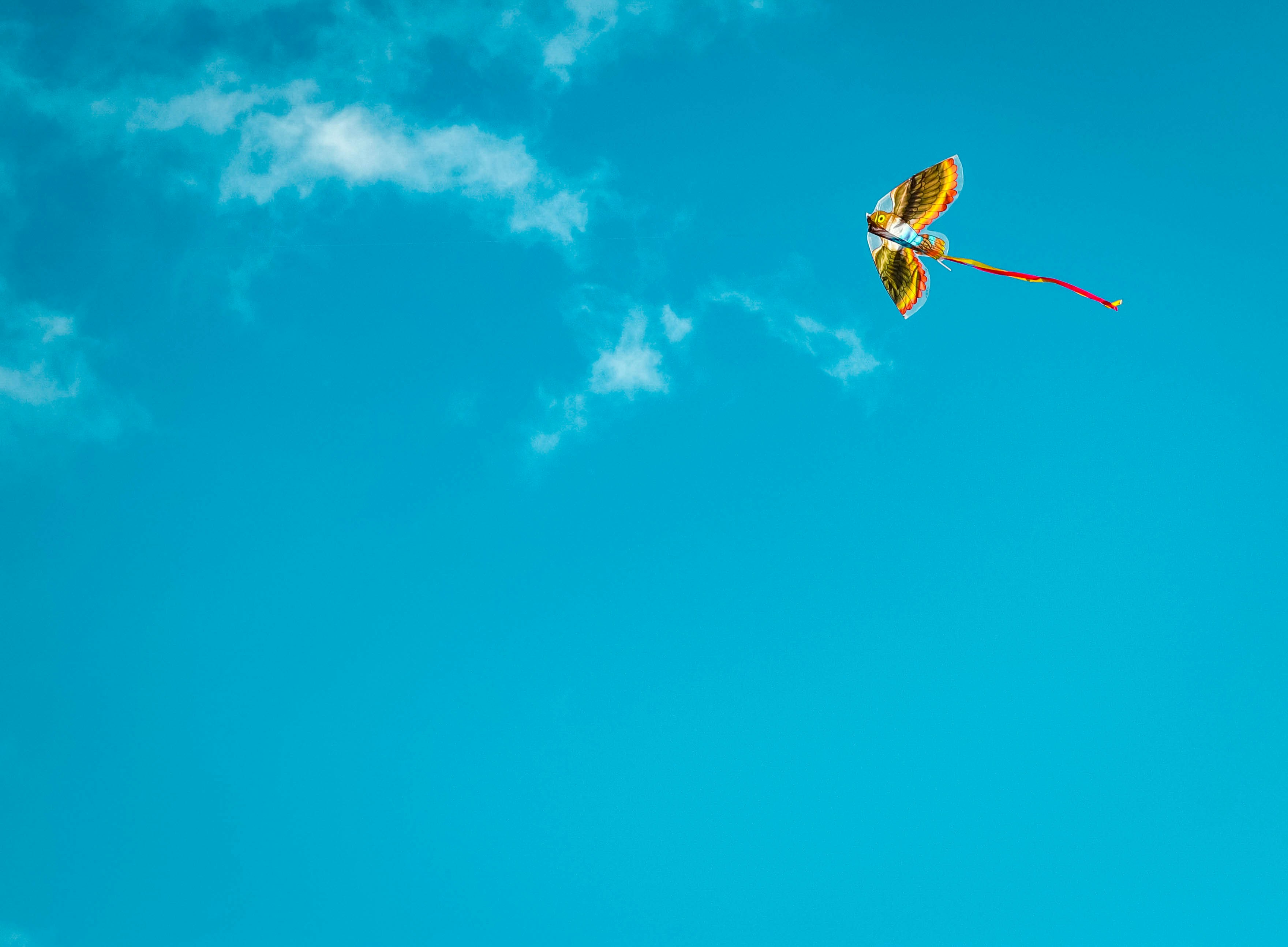 Photo by attic_in_my_mind