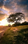 white wooden bench on green grass field during daytime