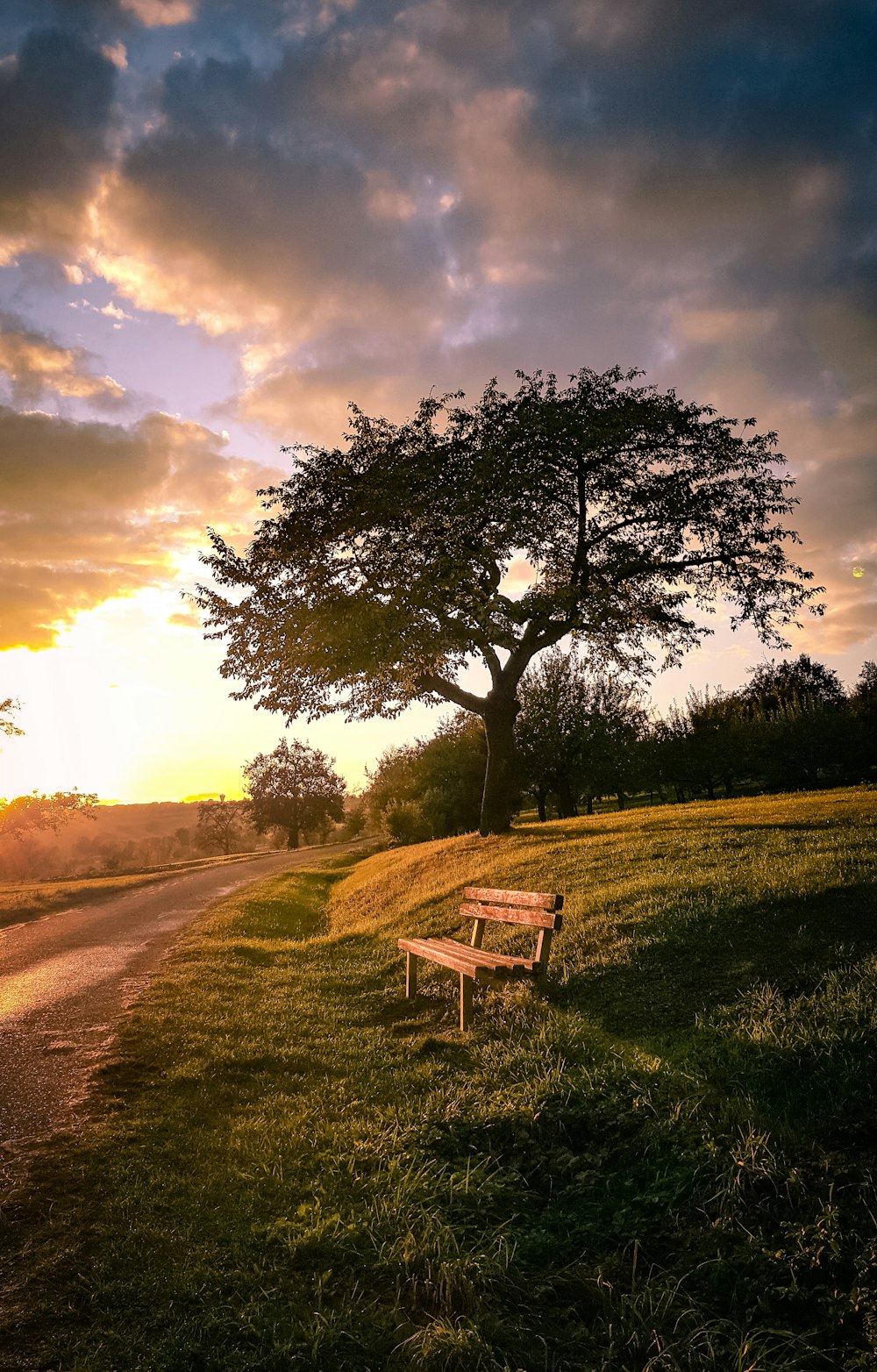 white wooden bench on green grass field during daytime