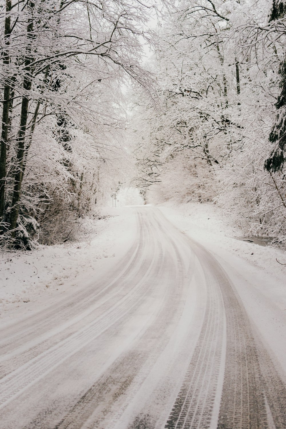 snow covered road between trees