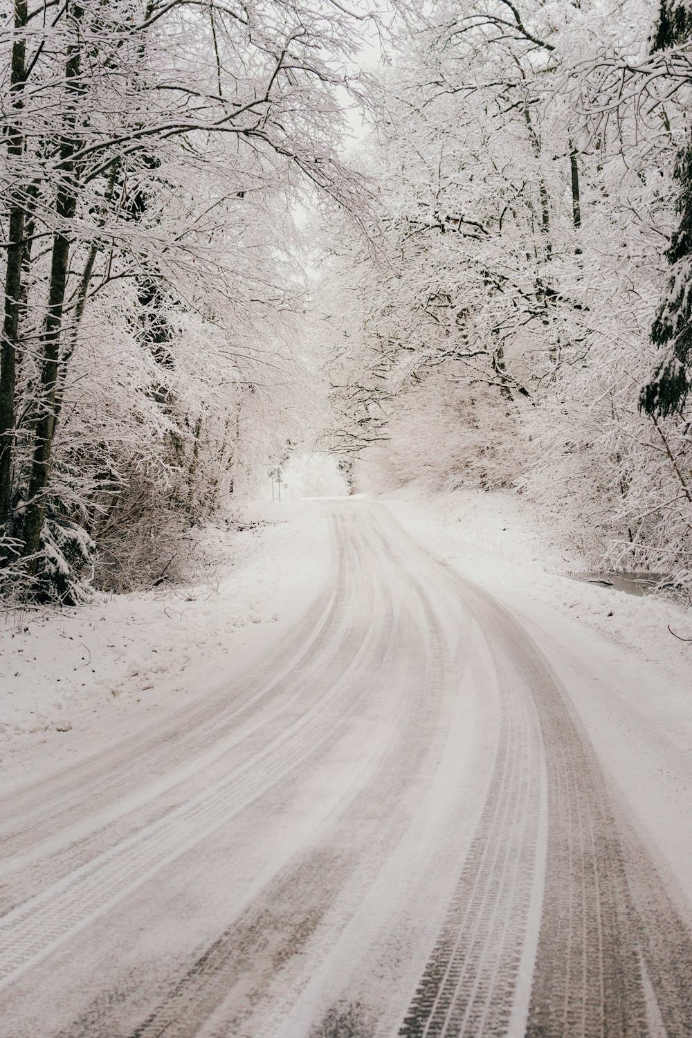 Schneebedeckte Straße zwischen Bäumen
