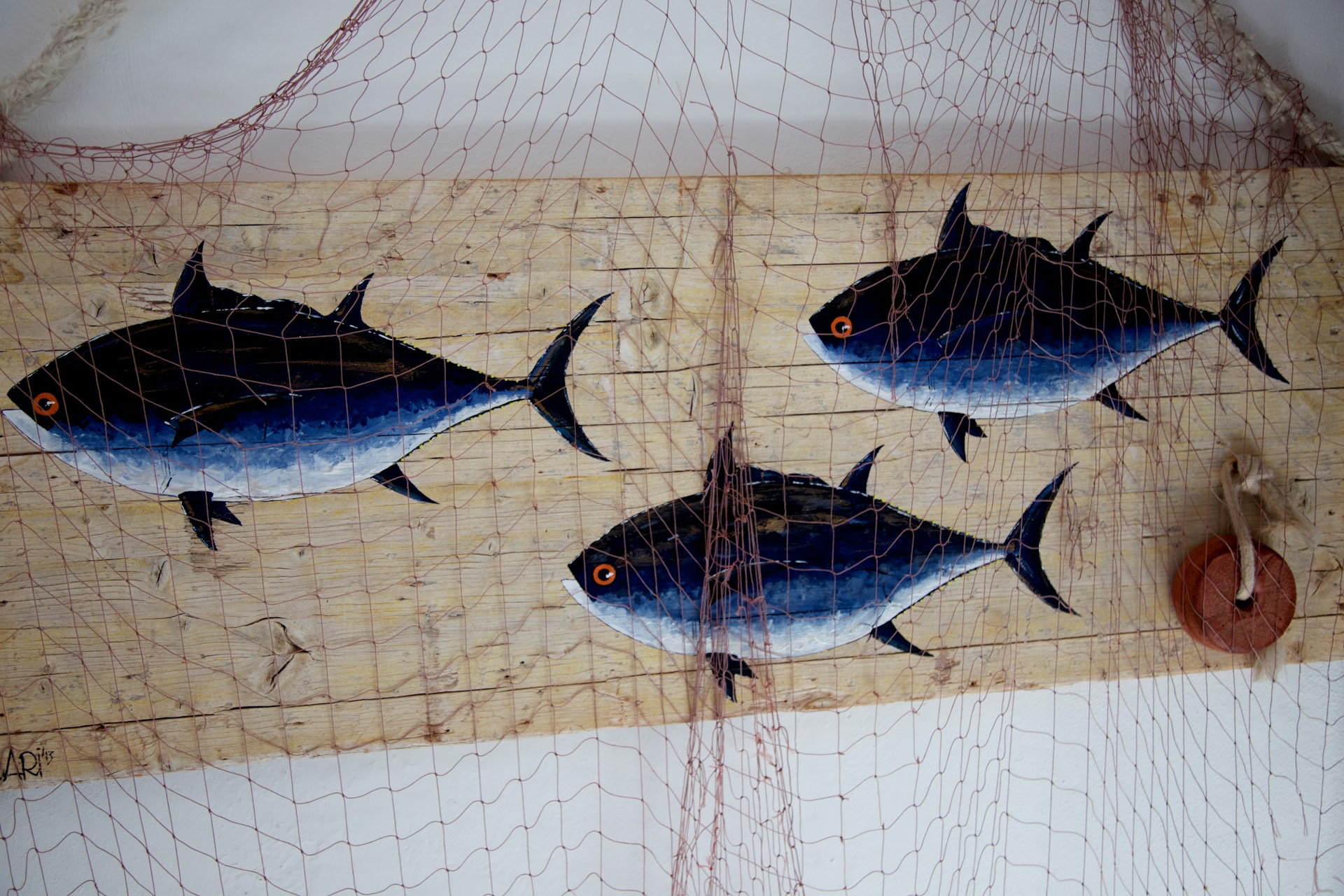 silver fish in fish cage