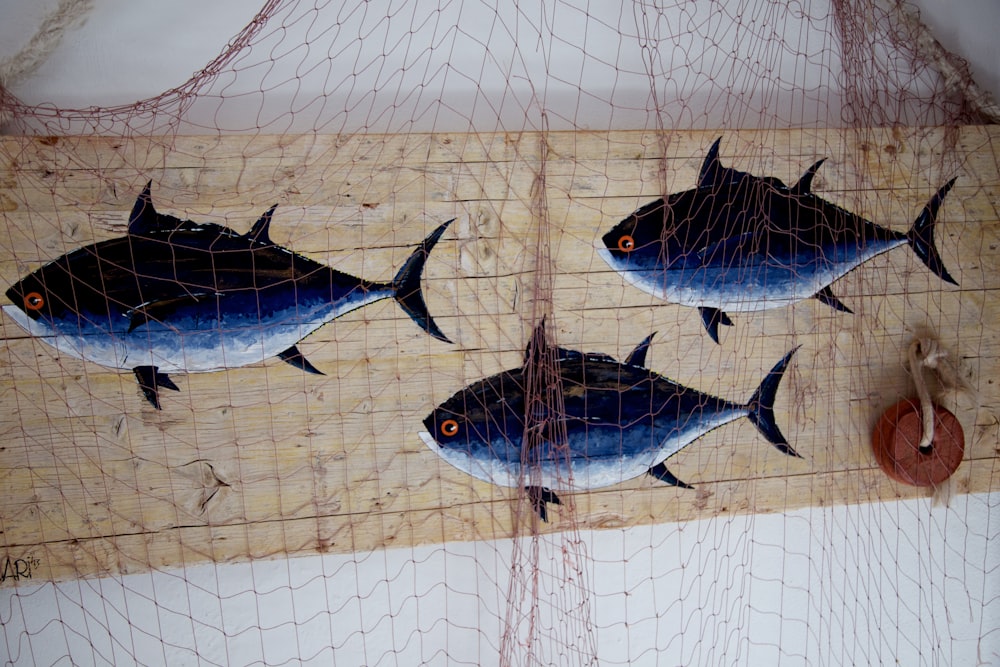 Foto Pez plateado en jaula de peces – Imagen Animal gratis en Unsplash