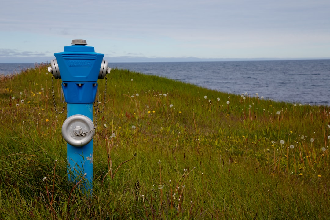 blue and white water tank on green grass field during daytime