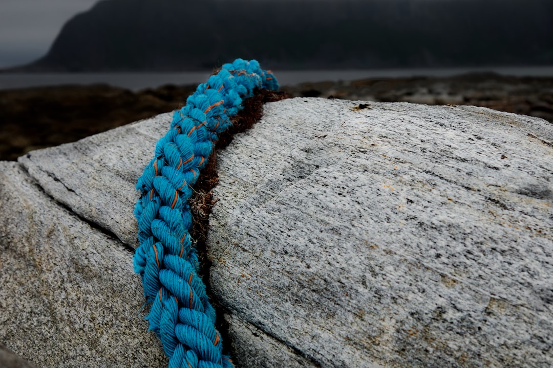 blue rope on gray wooden log