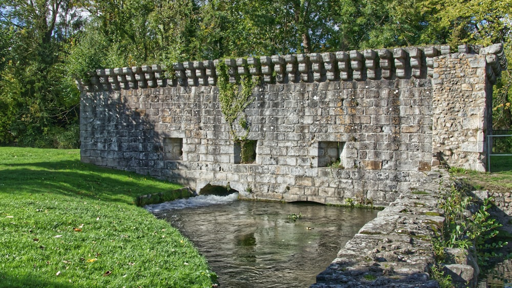 graue Betonwand in der Nähe von grünem Gras und Bäumen tagsüber