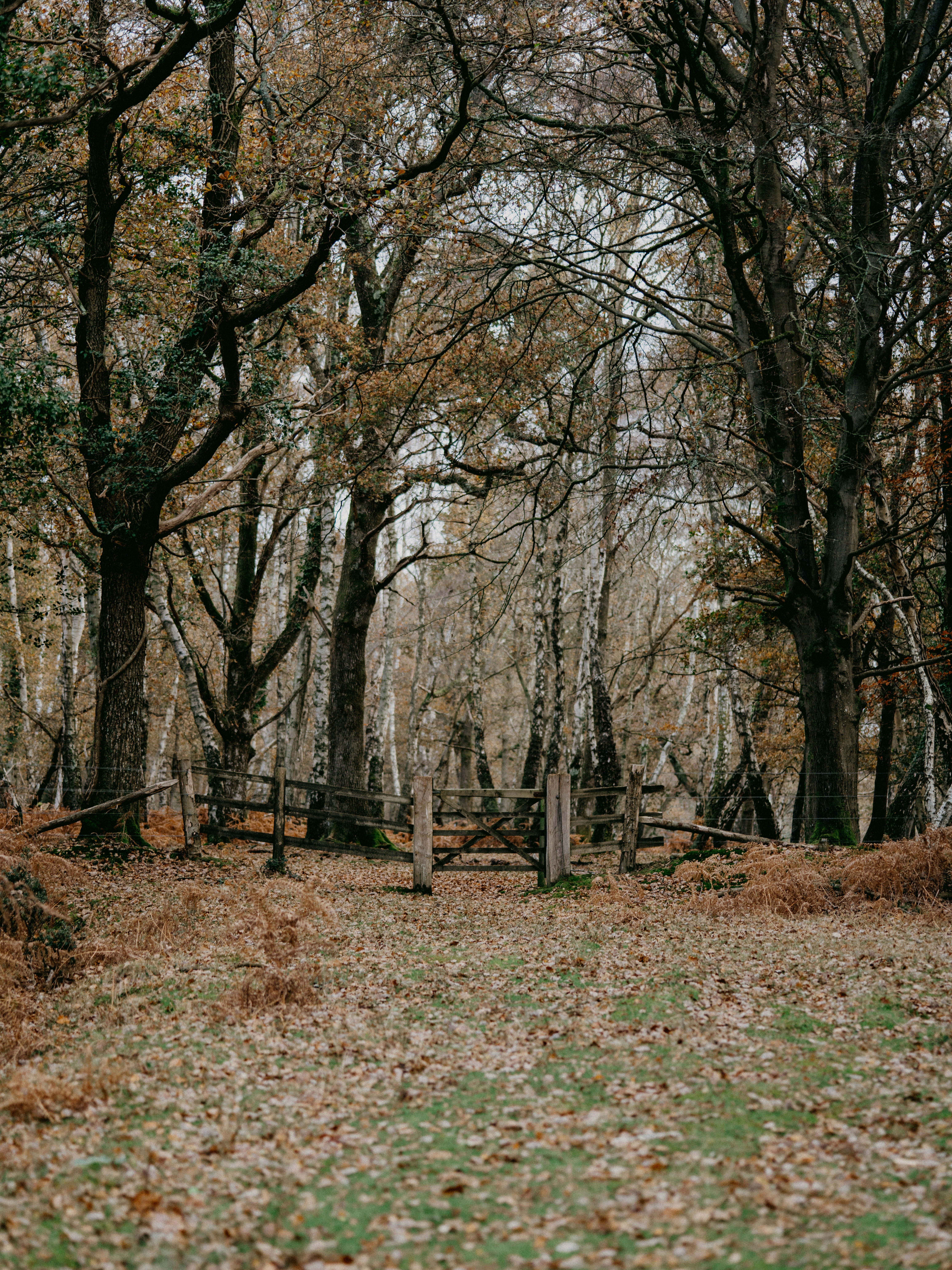 Photo by anniespratt