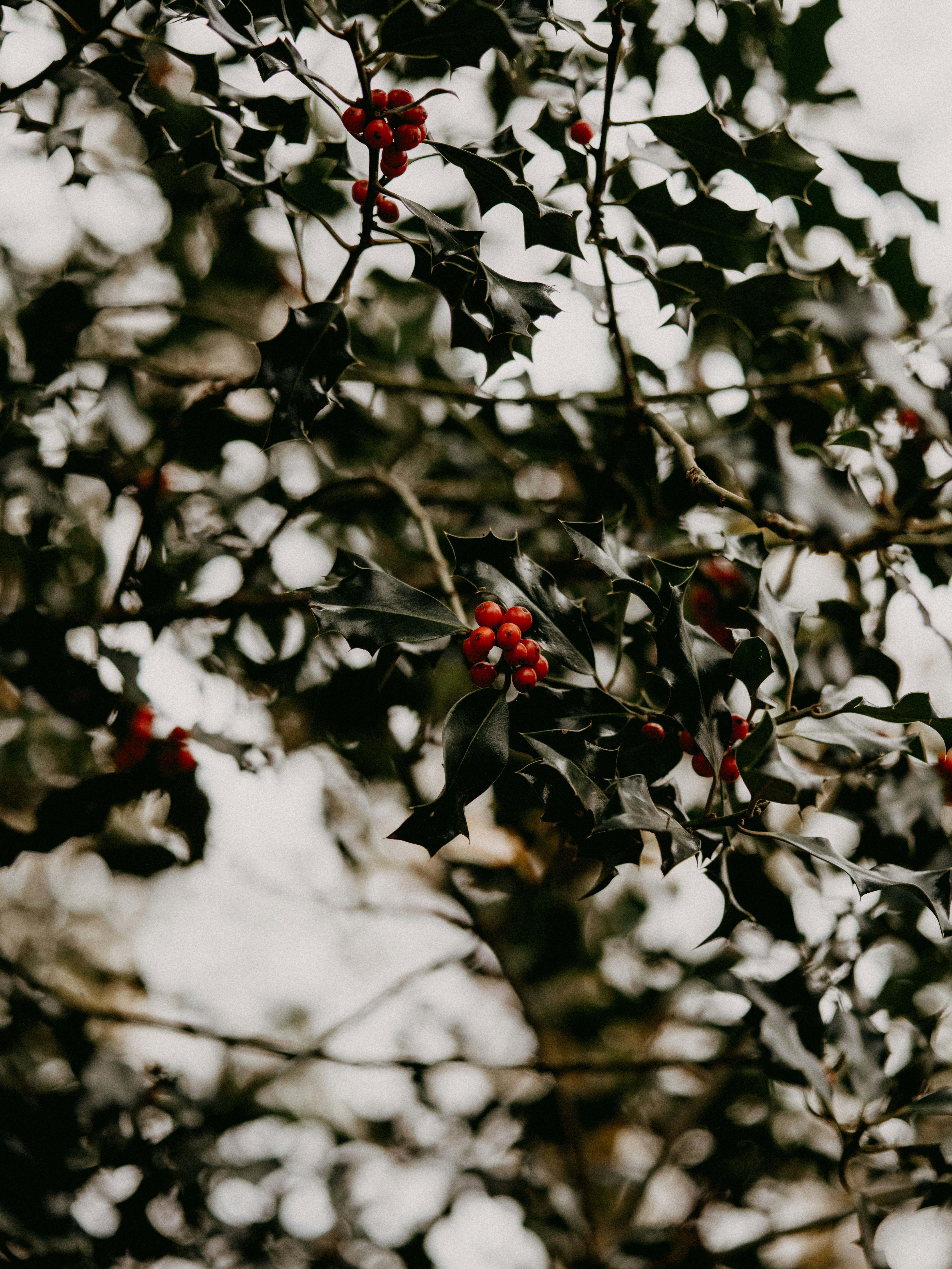 Photo by anniespratt