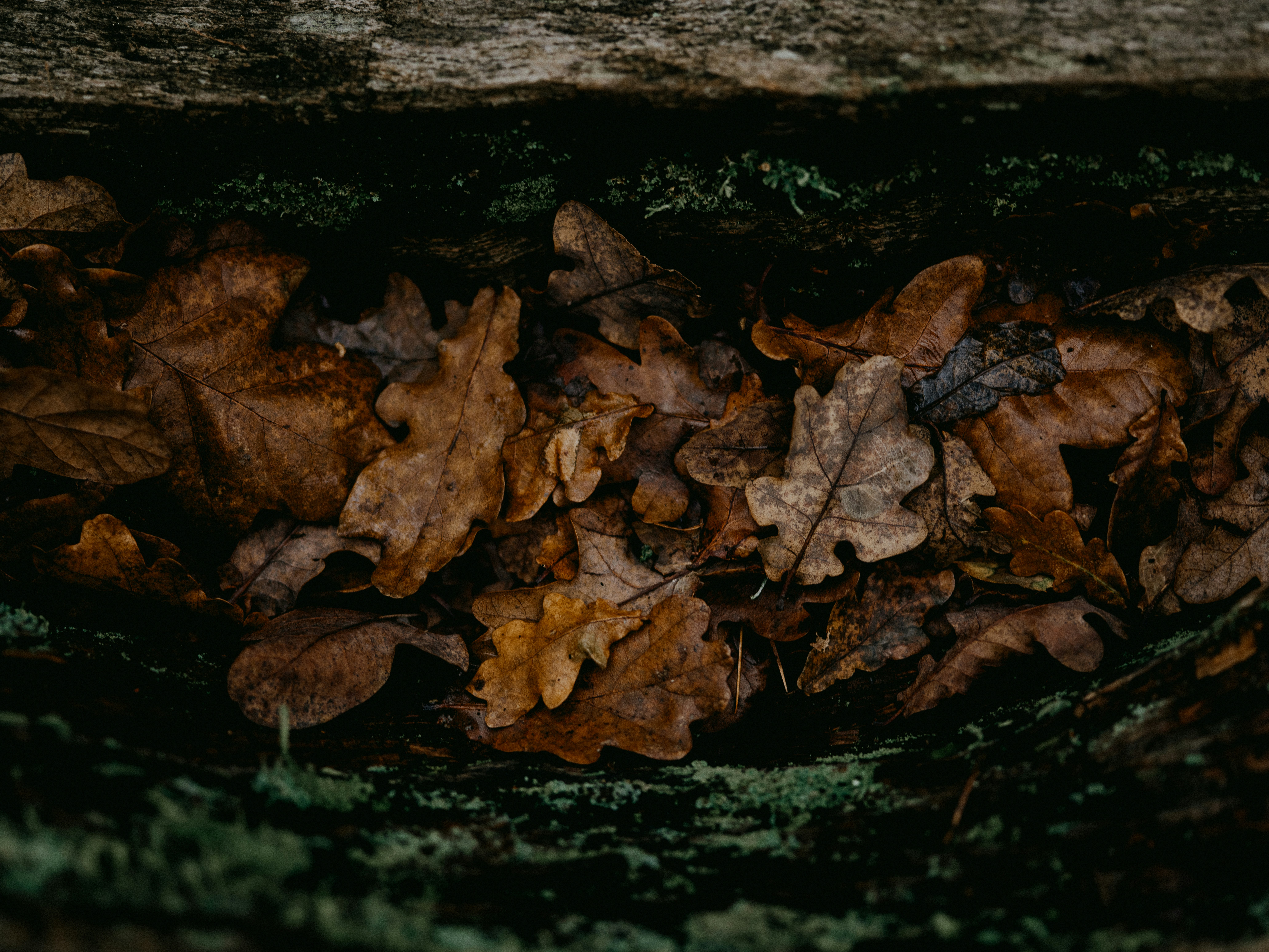 Photo by anniespratt