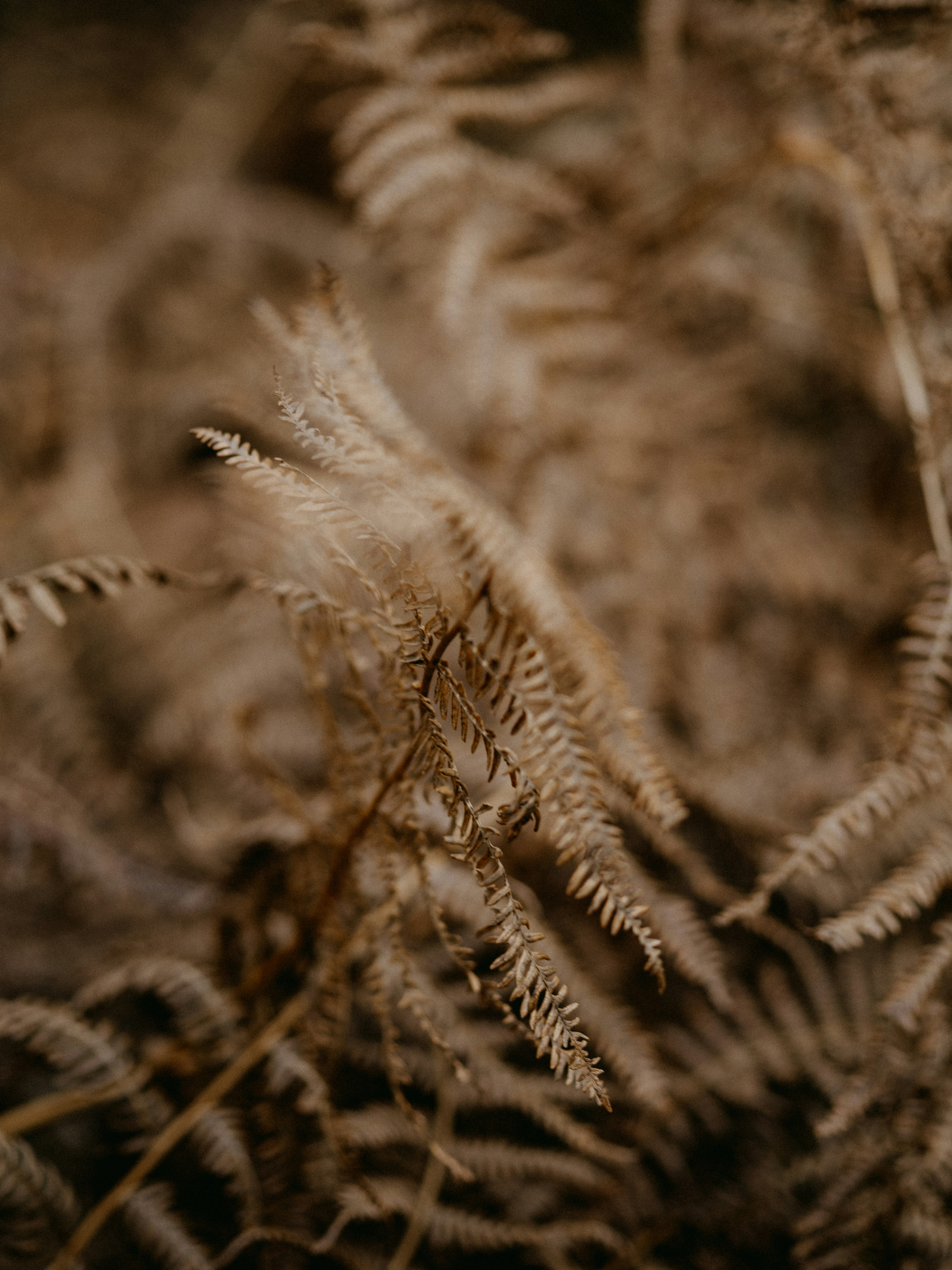 Photo by anniespratt