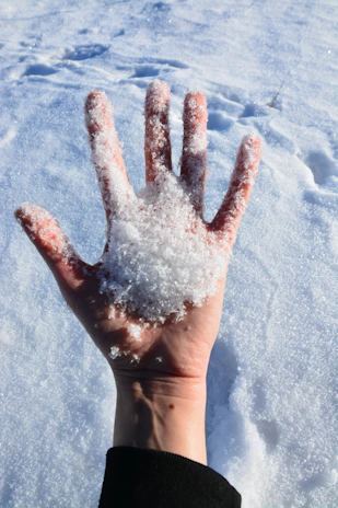 Close-up of a snowscoot rider's hands gripping the handlebars with snow-covered peaks in the background.