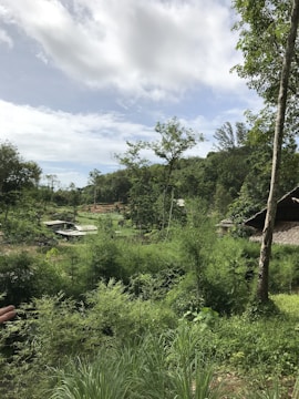 A lush, green landscape with dense vegetation and trees under a partly cloudy sky. Small structures with thatched roofs are partially visible amidst the natural setting. The scene conveys a sense of tranquility and untouched wilderness.