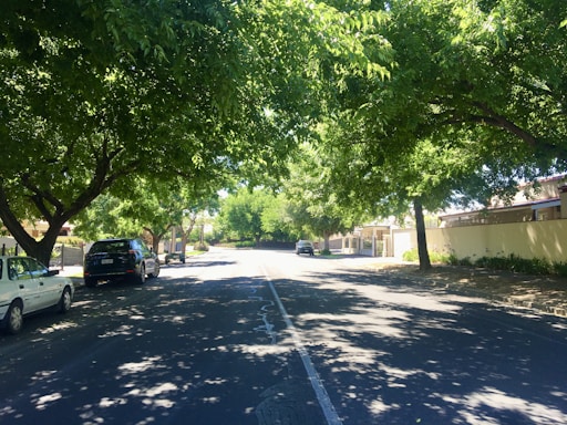 A quiet residential street lined with lush green trees providing ample shade. Cars are parked along the side of the road, and private houses with fences are visible. Sunlight filters through the leaves, casting intricate shadows on the pavement.