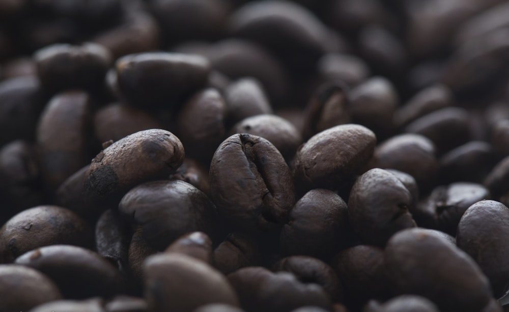 brown coffee beans in close up photography