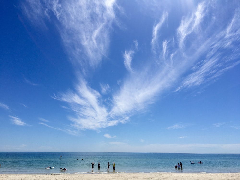 people on beach during daytime