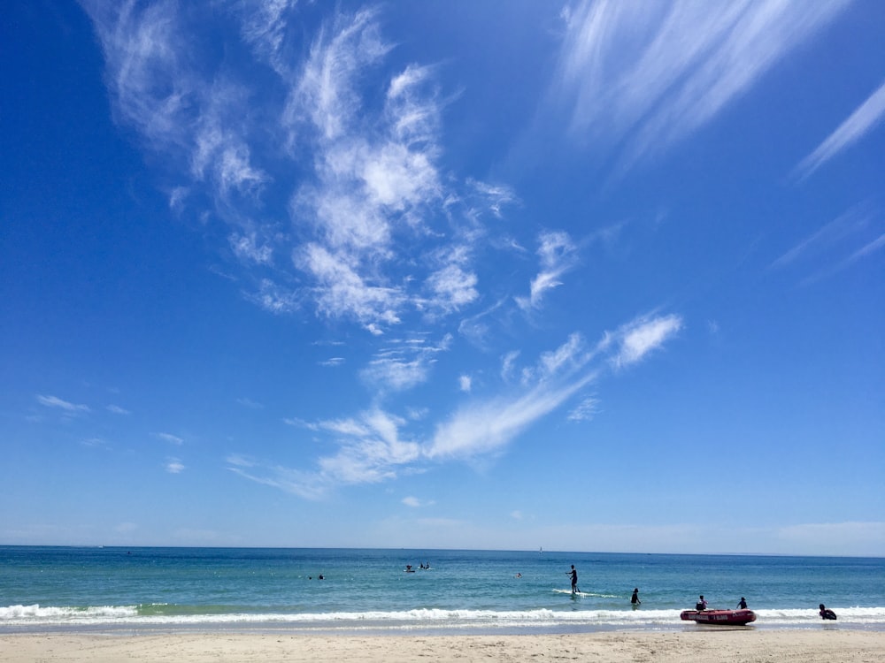 people on beach during daytime