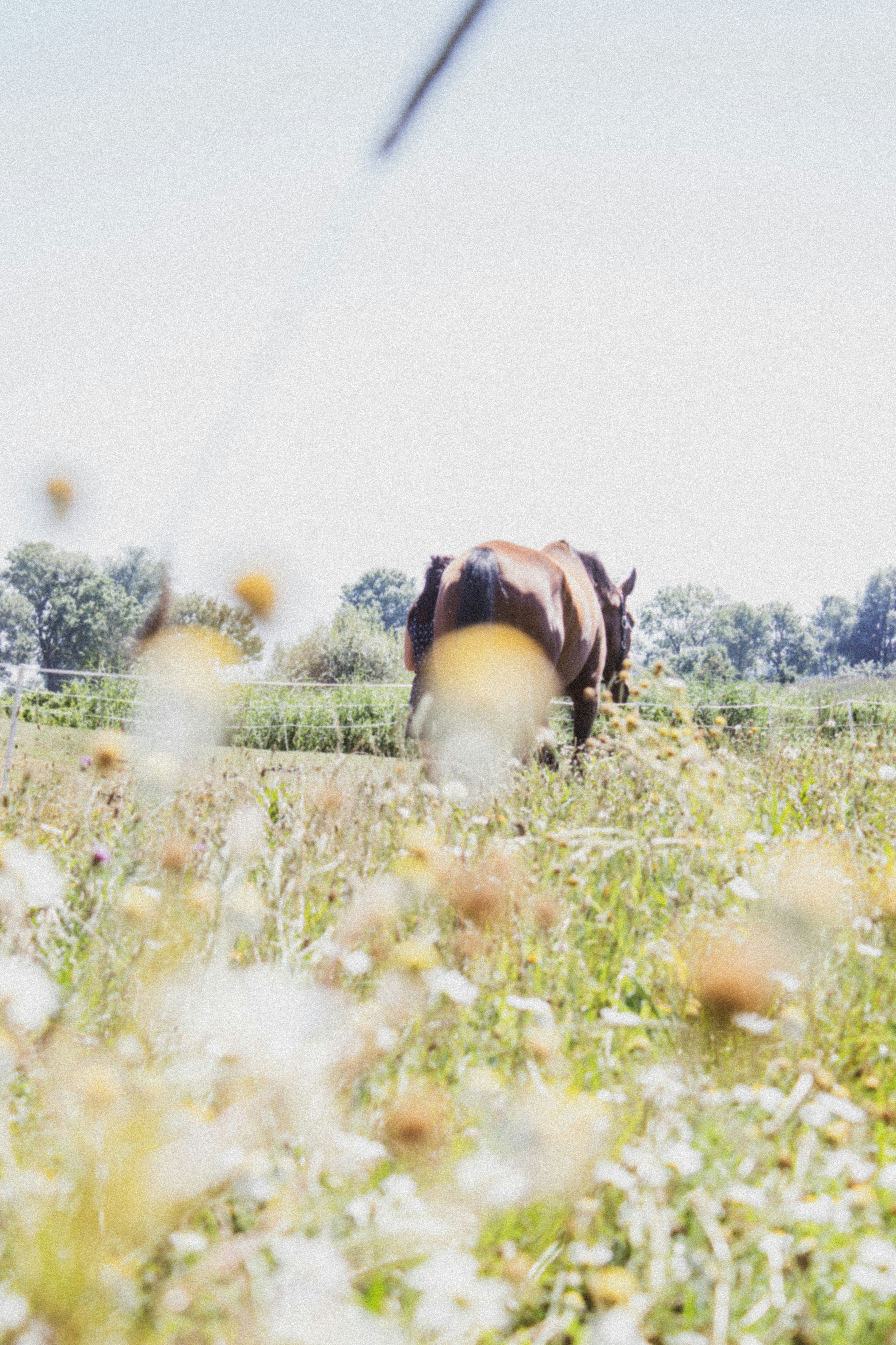 Photo by hamedghouli