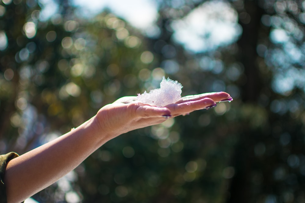 person holding white cotton with red nail polish