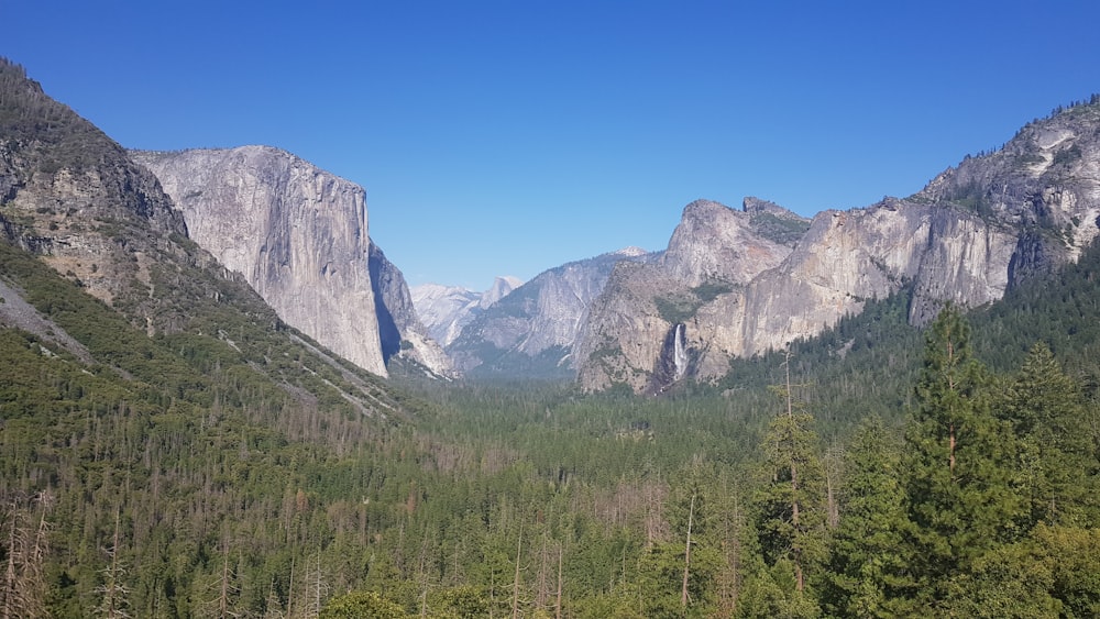 green trees near gray mountain under blue sky during daytime