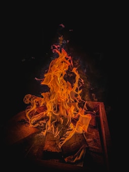 Vibrant flames with hues of orange and yellow rise from a stack of wood on a dark background, conveying a sense of warmth and energy.