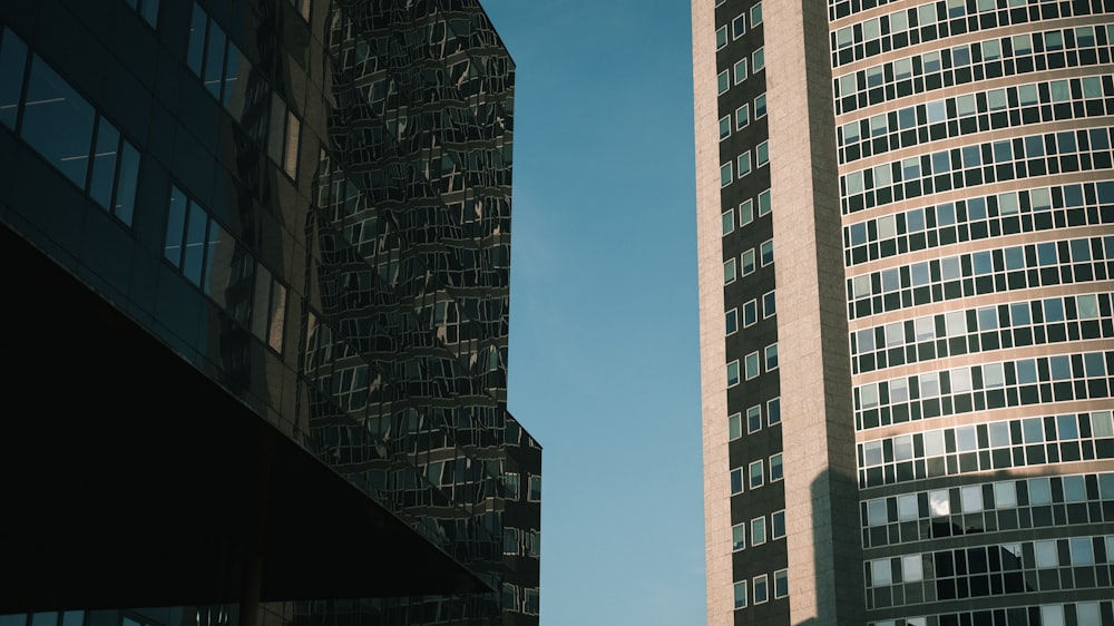 Edificio de gran altura azul y blanco