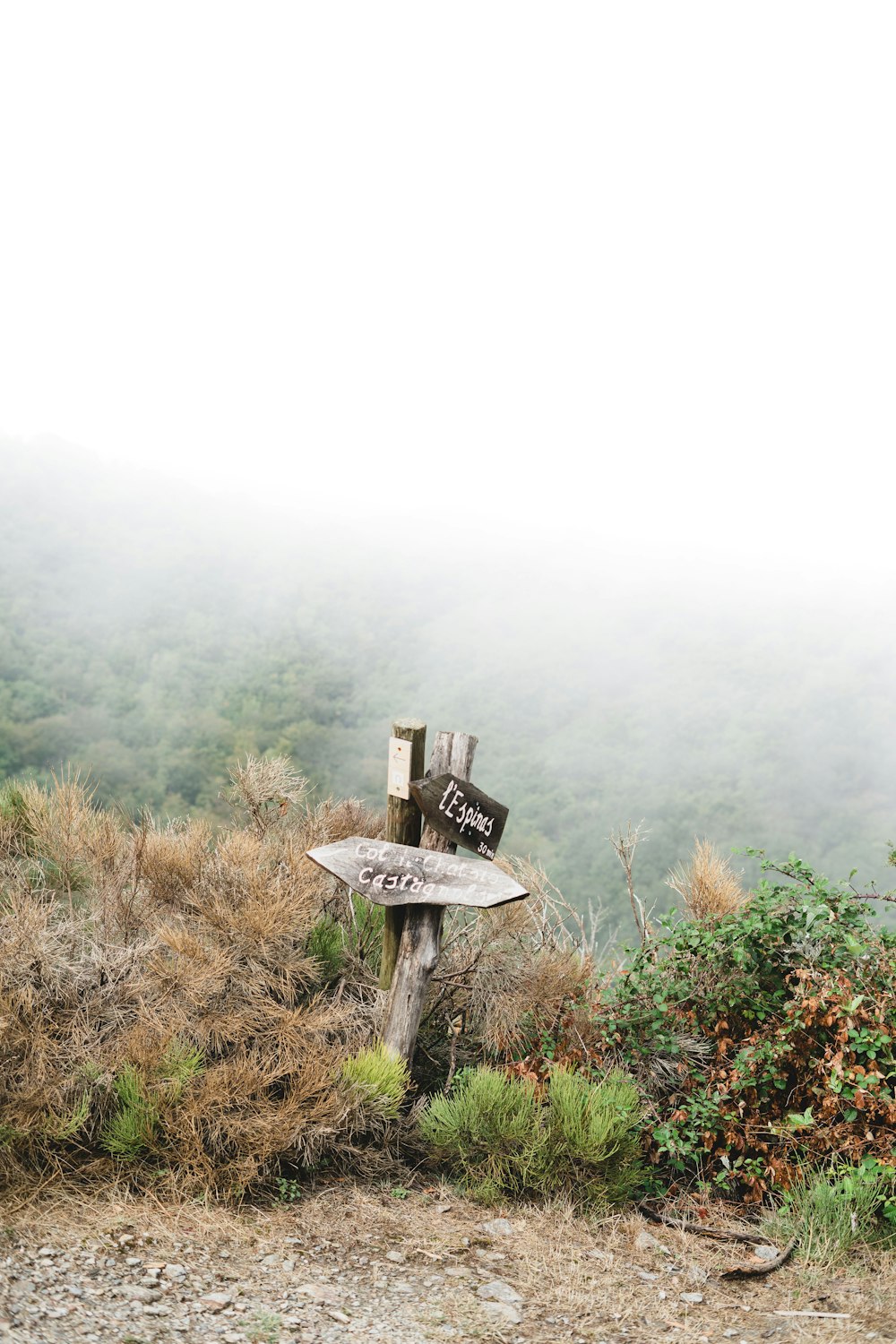 brown wooden table on green grass field during foggy weather