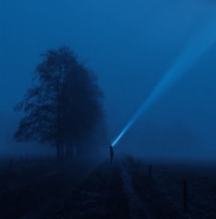 A solitary person stands in a misty, dark landscape, holding a bright flashlight that beams a wide cone of light into the fog. Tall trees line a pathway, and the surrounding area is enveloped in an eerie blue hue.