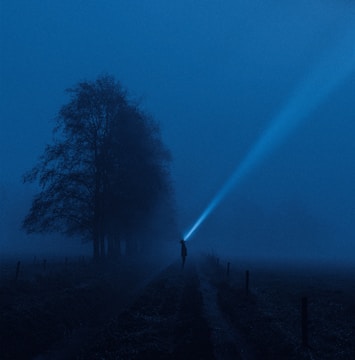A solitary person stands in a misty, dark landscape, holding a bright flashlight that beams a wide cone of light into the fog. Tall trees line a pathway, and the surrounding area is enveloped in an eerie blue hue.