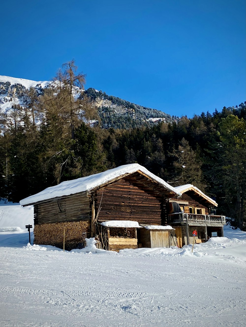 brown wooden house on snow covered ground near green trees during daytime