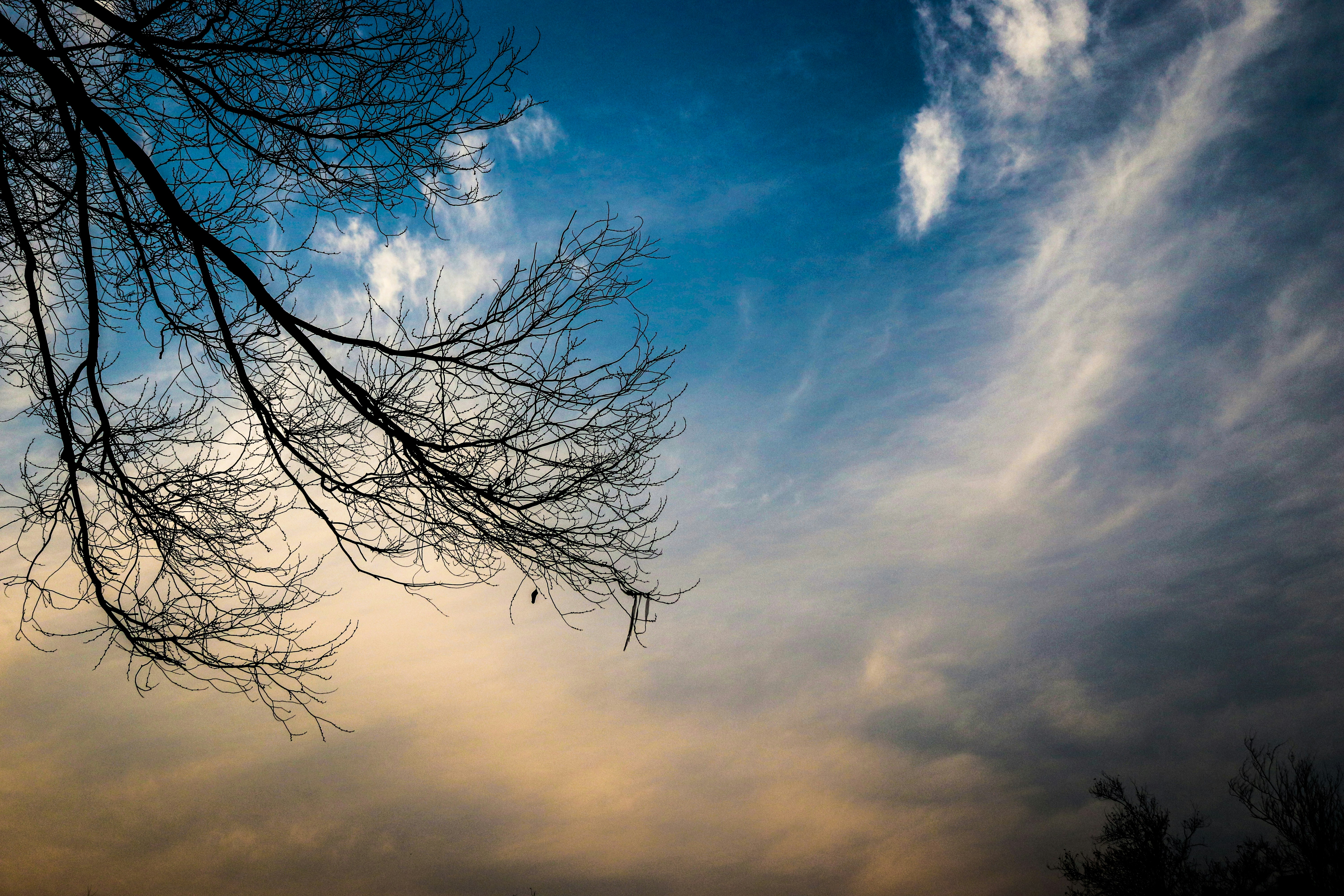 Photo by sinabahar76