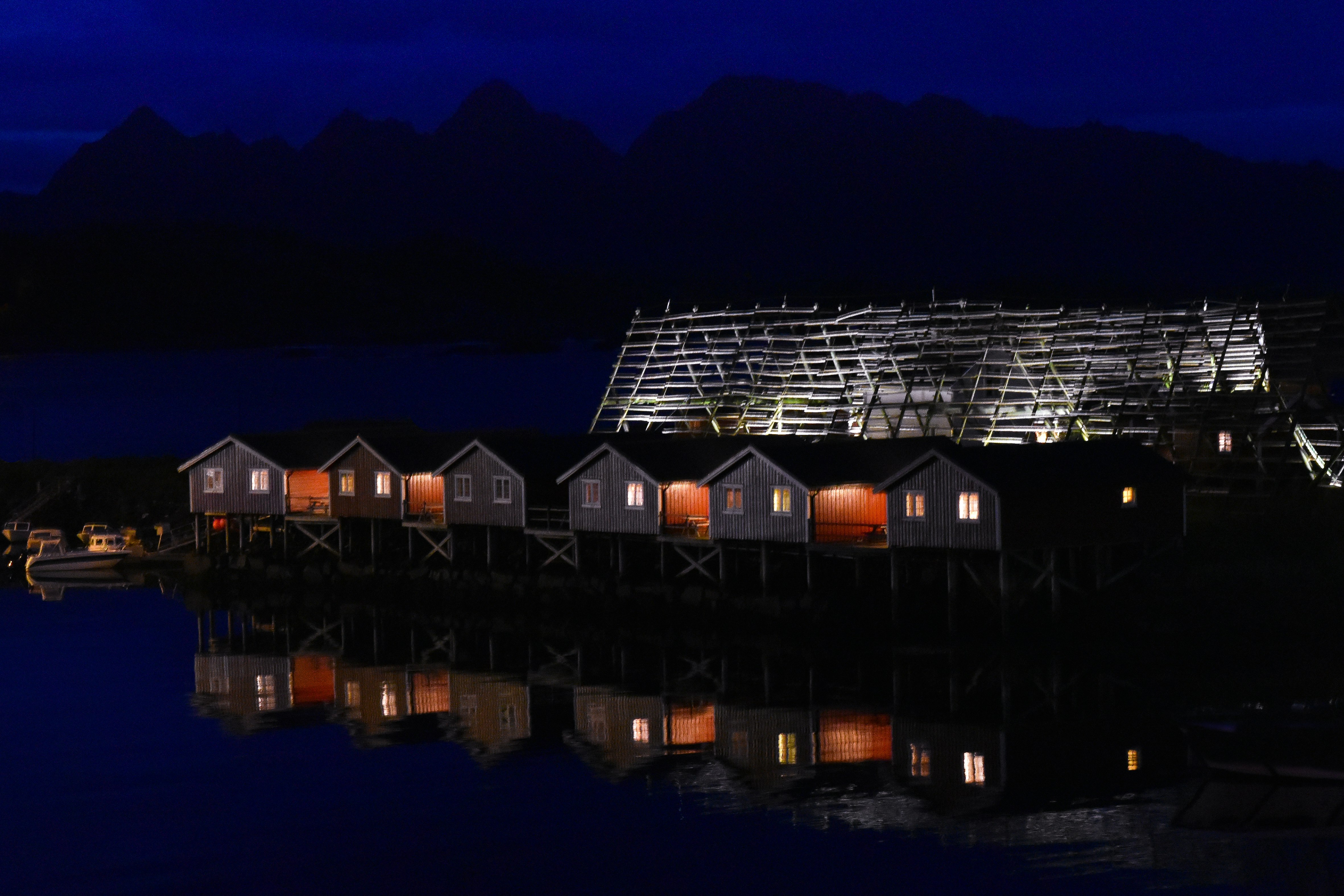 brown and black house near body of water during night time