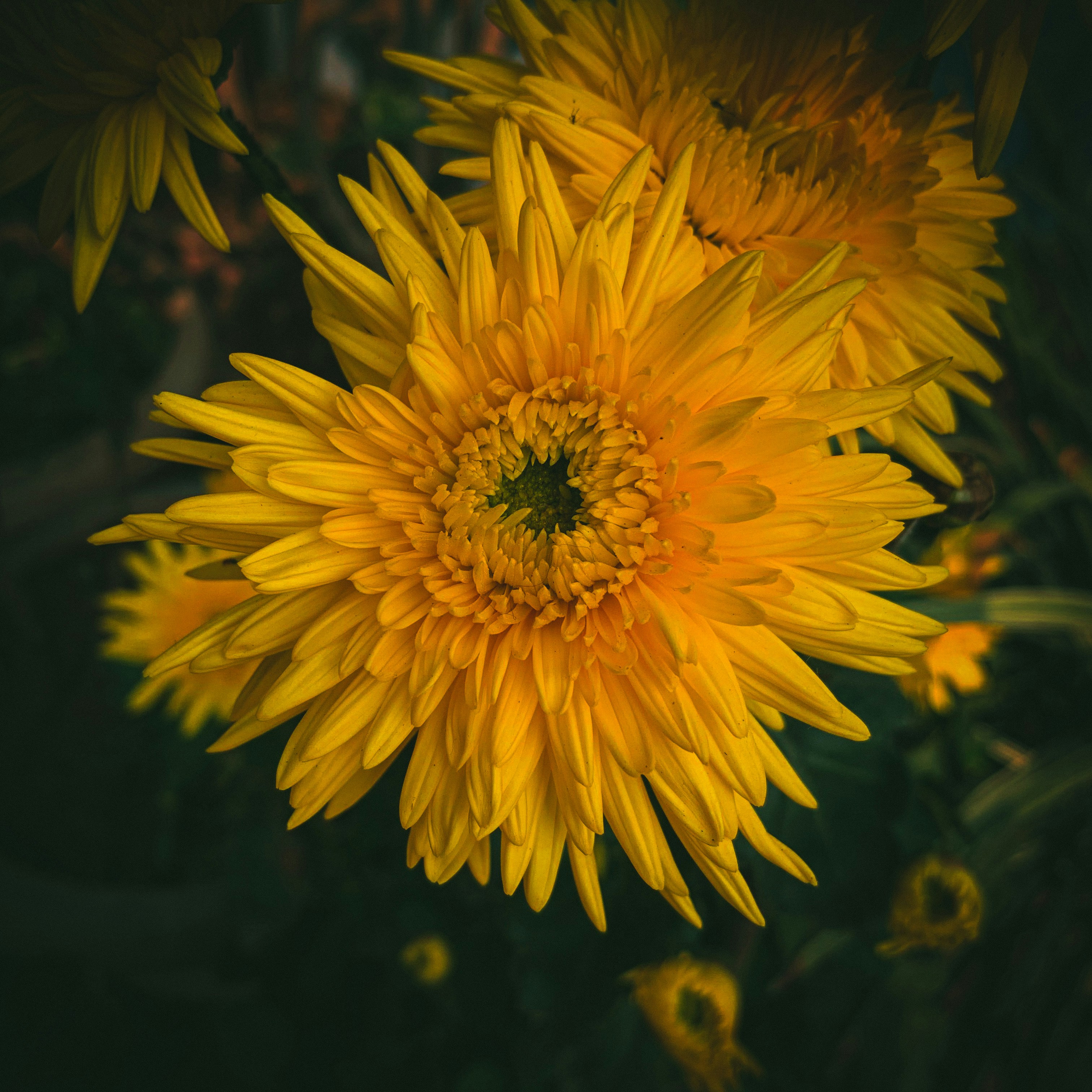 Photo by decomposeeeee