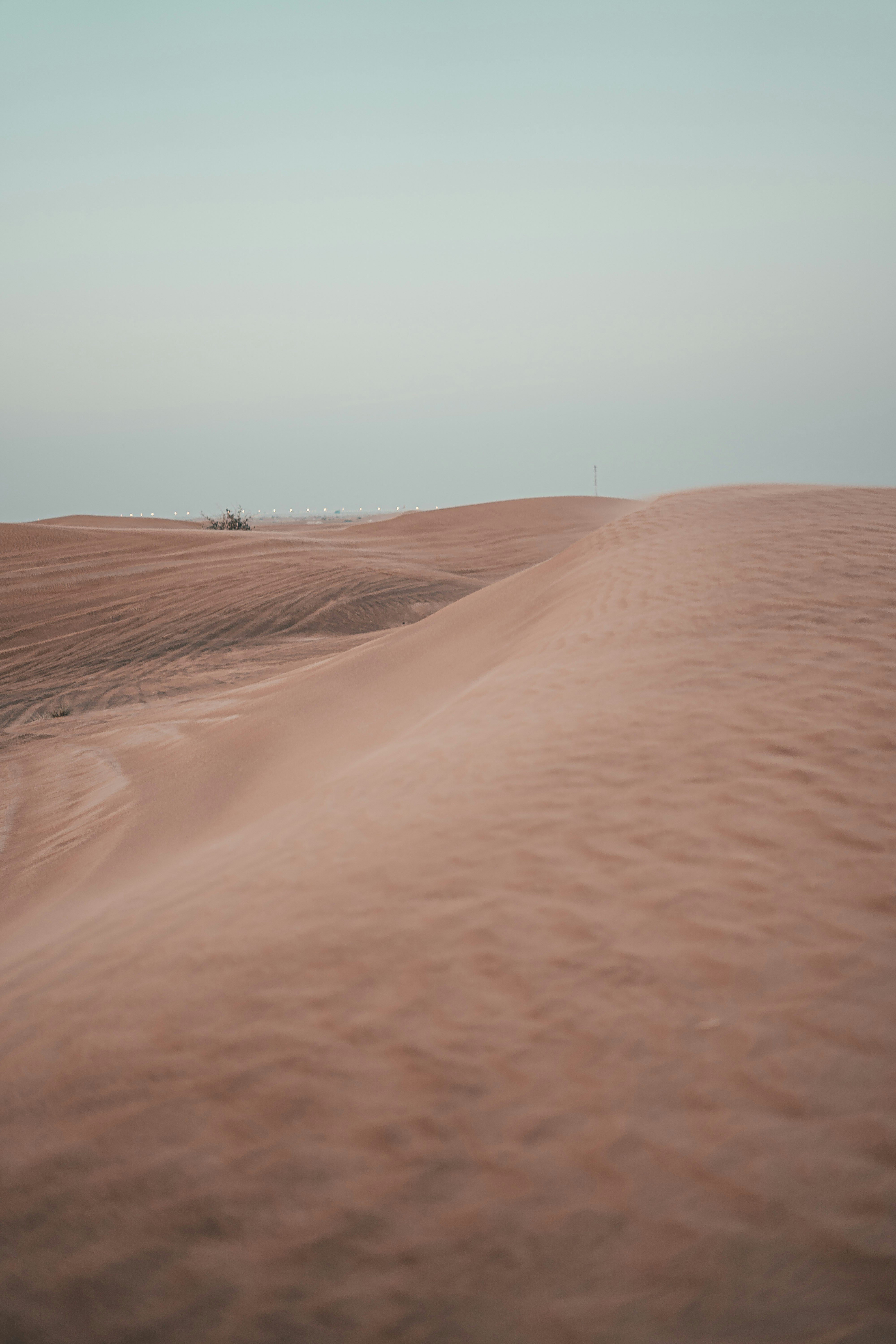 Photo by itadakidesu