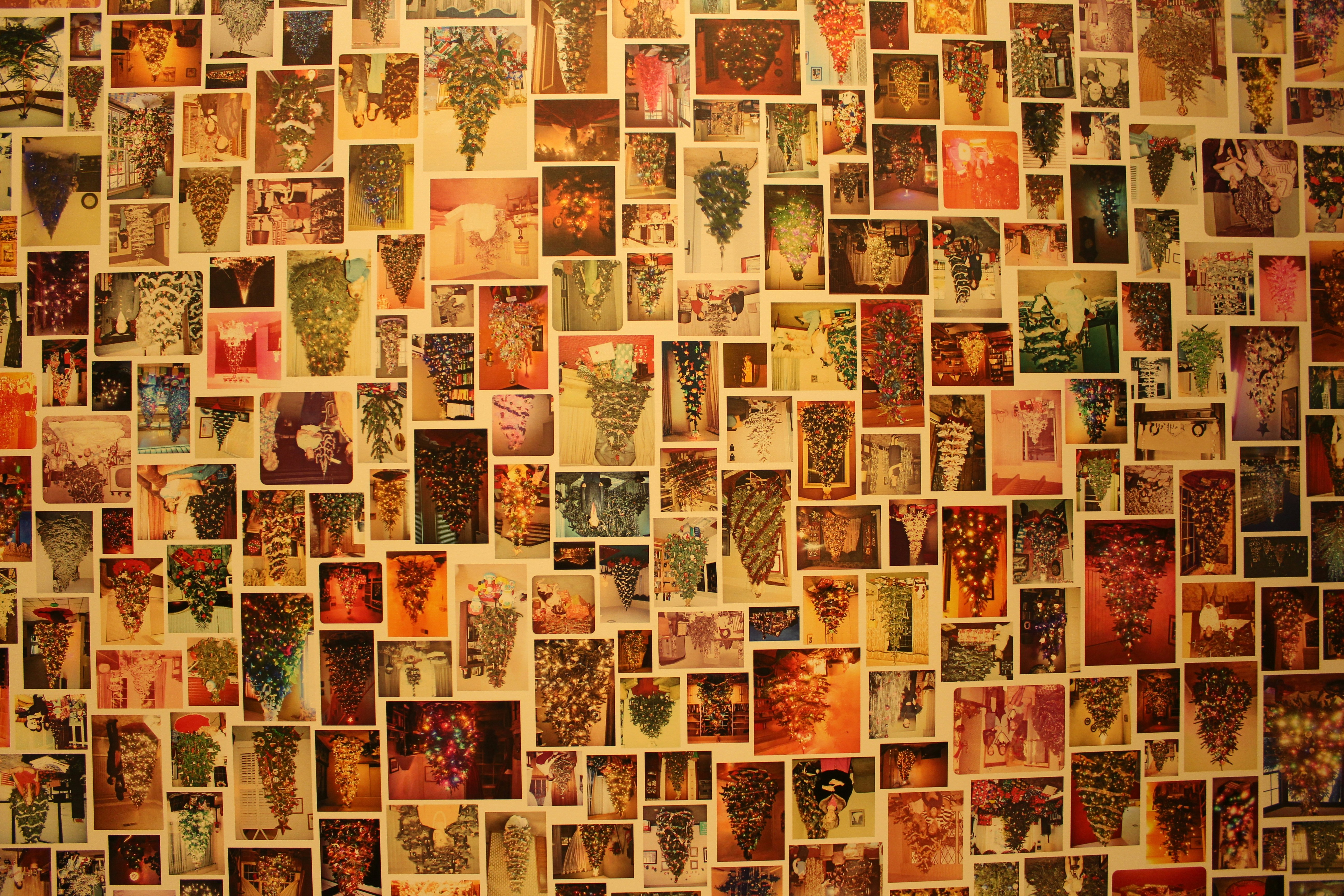 Photo by niloofar_b1991