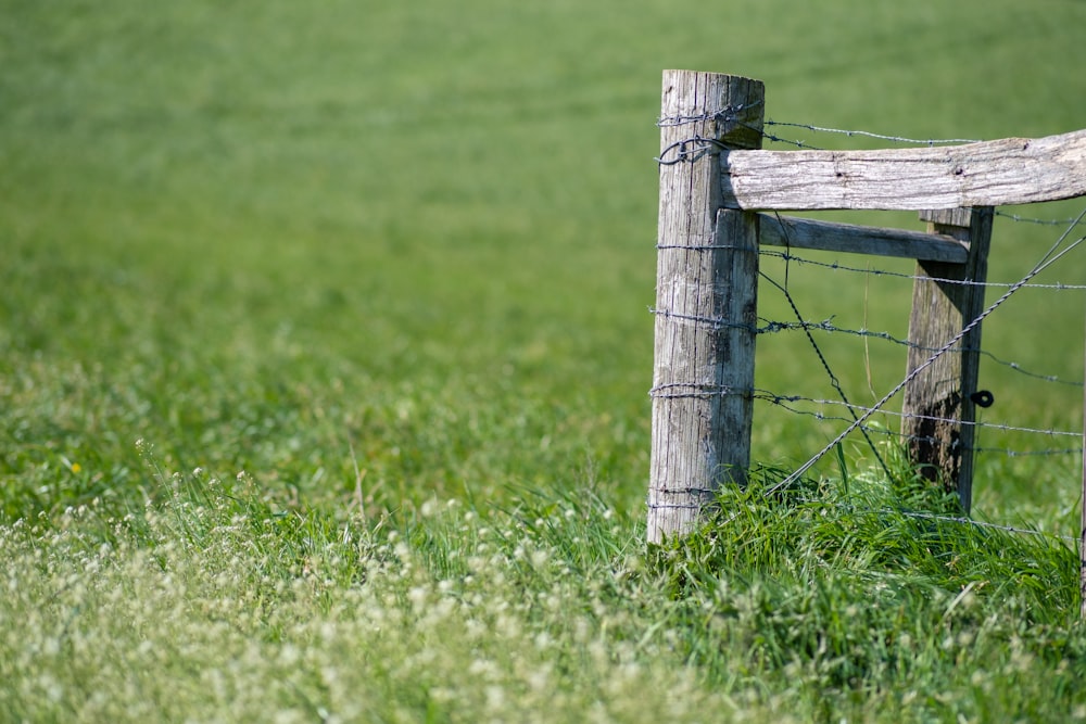 brown wooden fence on green grass field during daytime