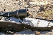 A small bird stands on an open camera bag, peering into the lens hood of a large telephoto camera lens. The camera and bag are placed on rocky ground with some small plants nearby. The lens cap and some accessories are visible in the camera bag.