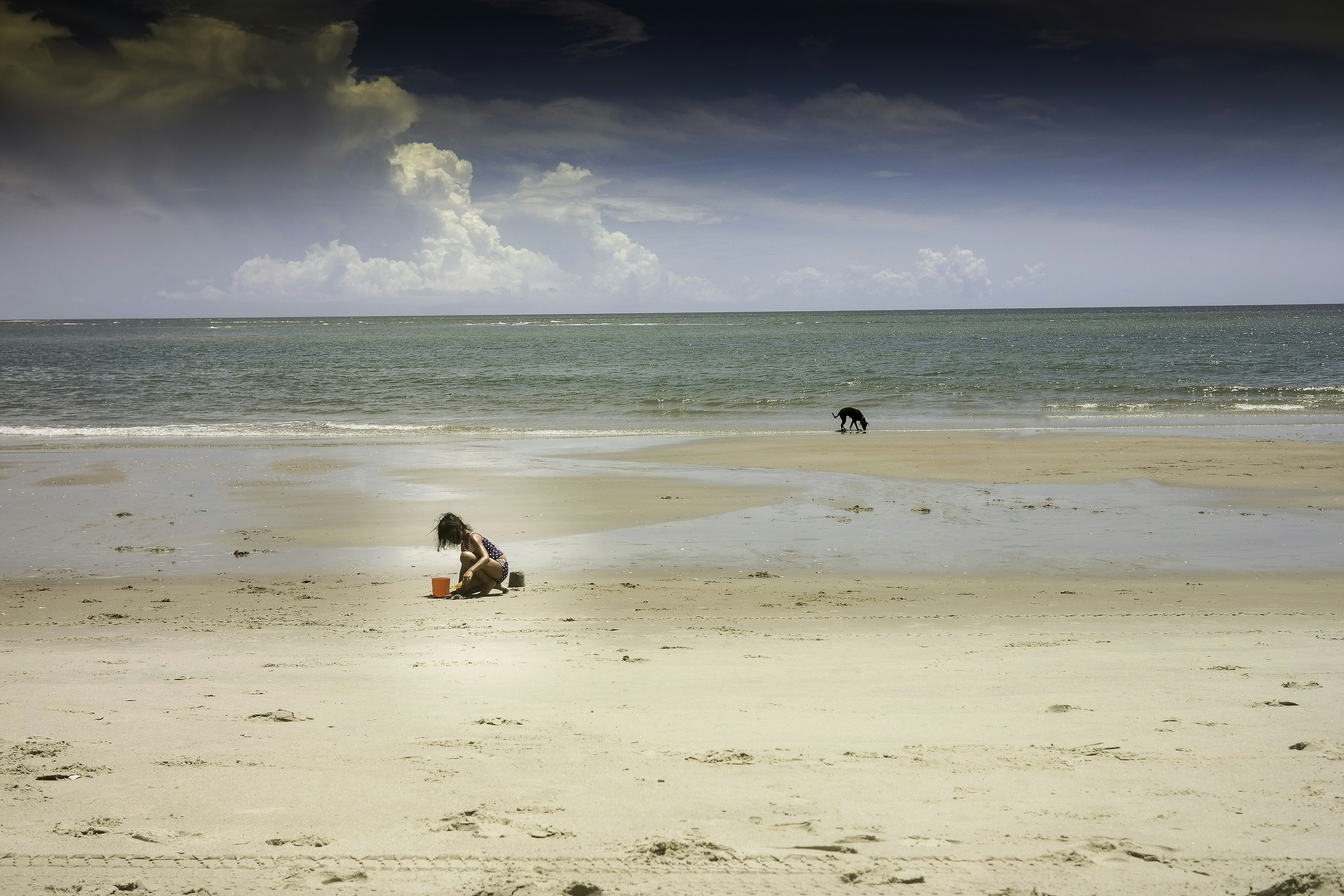 woman in white shirt sitting on beach during daytime, Child at the beach with a dog