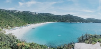 people on beach during daytime