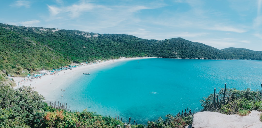 people on beach during daytime